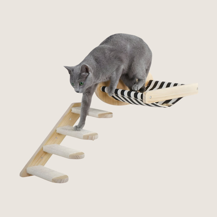 Kabe Wall-Mounted Cat Shelf Set