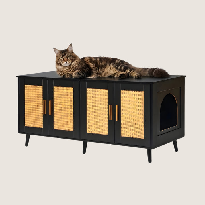 Ren Enclosed Litter Box Cabinet