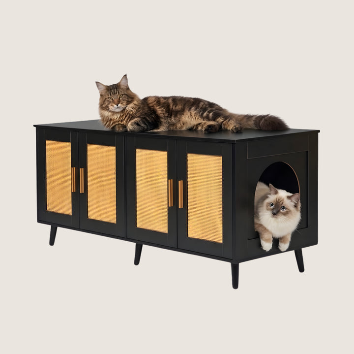 Ren Enclosed Litter Box Cabinet