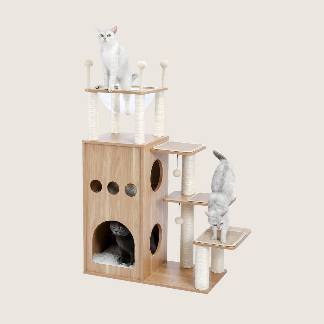Kijo Castle Cat Tower