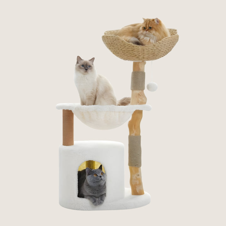 Shiro Wicker Cat Tower