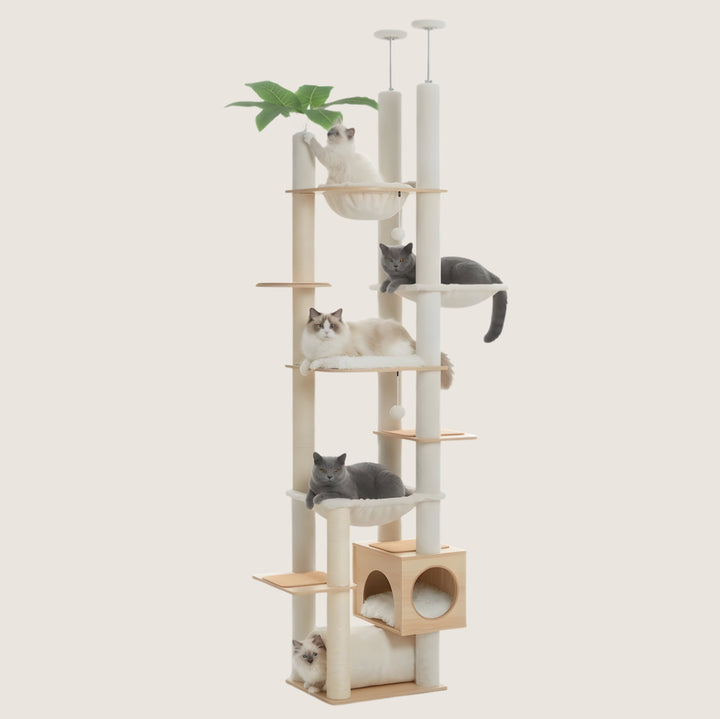 Sora Floor-to-Ceiling Cat Tower
