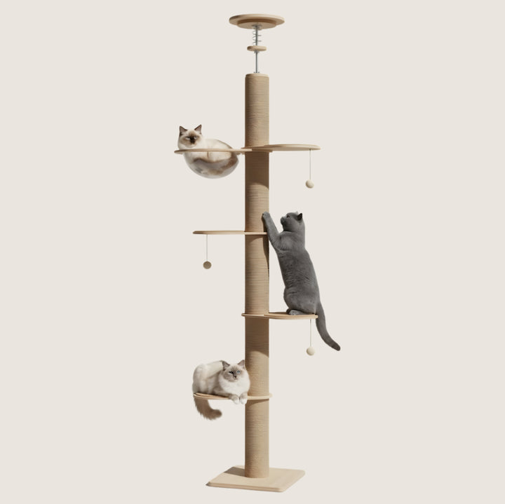 Miko Floor-to-Ceiling Cat Tower