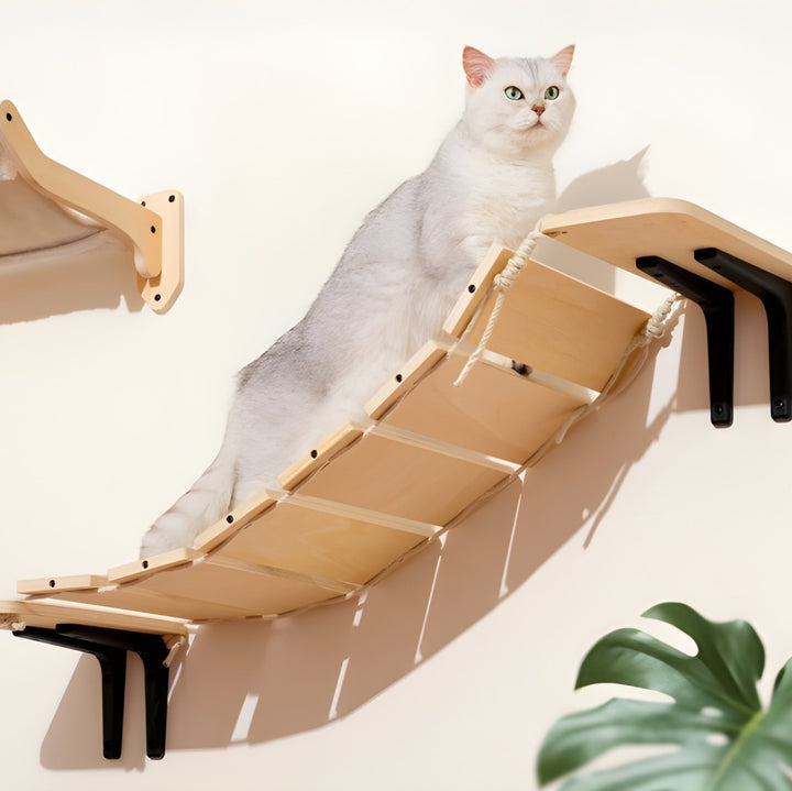 Hashi Wall-Mounted Cat Bridge Koven 
